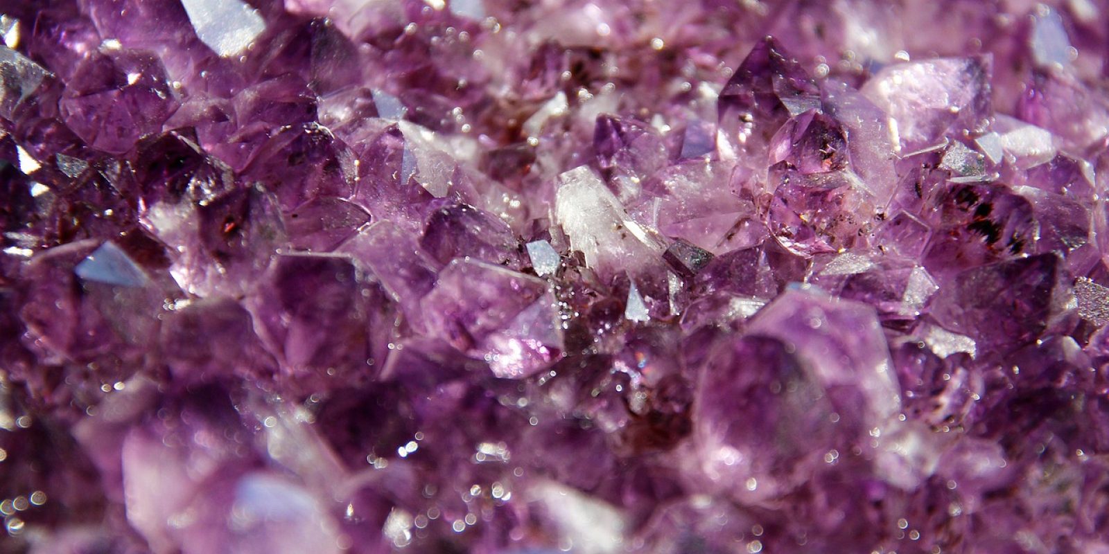 蜘蛛纸牌2套装 免费在线纸牌游戏 深色宝石蓝紫色调的蜘蛛纸牌2套装游戏界面，牌桌上整齐排列着10列扑克牌，右侧显示攻略数据看板与胜率统计图表，氛围专业沉浸